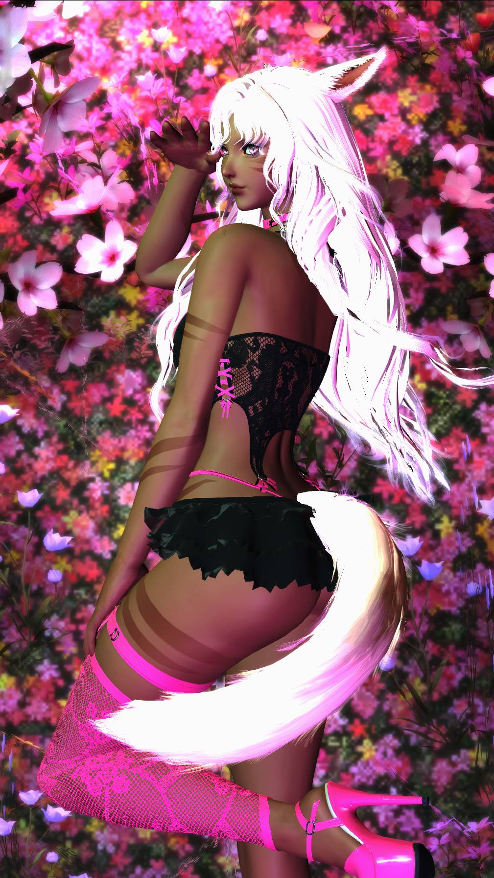 M'nifra Nor additional photo